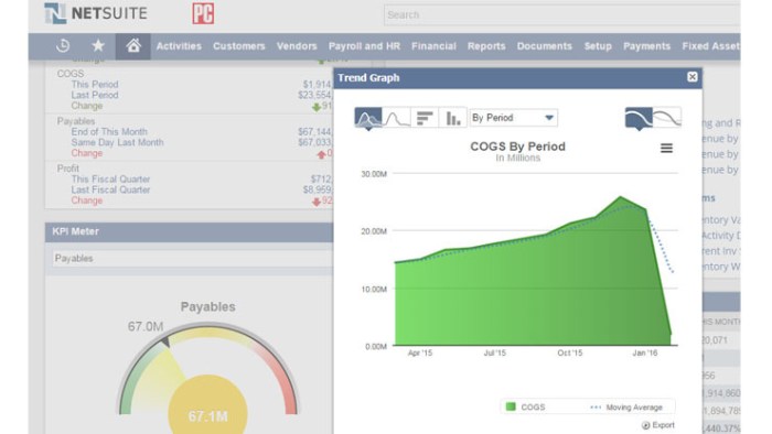 Streamline Currencies and Global Entities with NetSuite OneWorld