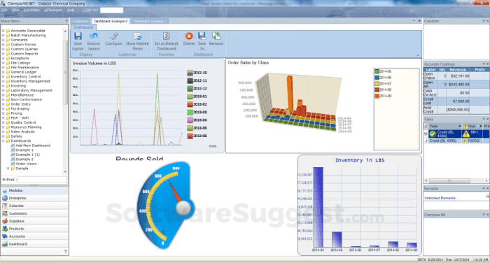 Chempax ERP | PDF | Enterprise Resource Planning | Business Process ...