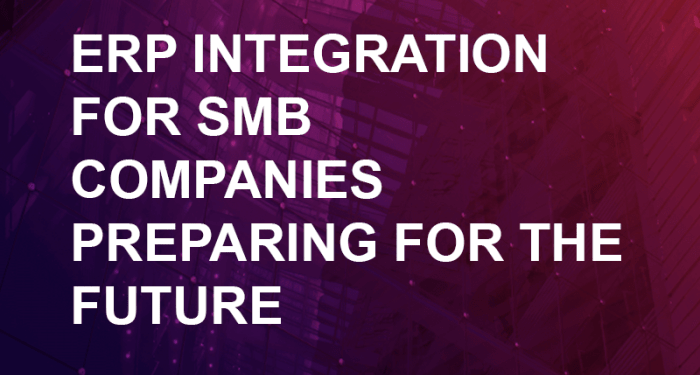 ERP for SMB, Part 5: Verifying Your Growth Strategy