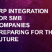 ERP for SMB, Part 5: Verifying Your Growth Strategy