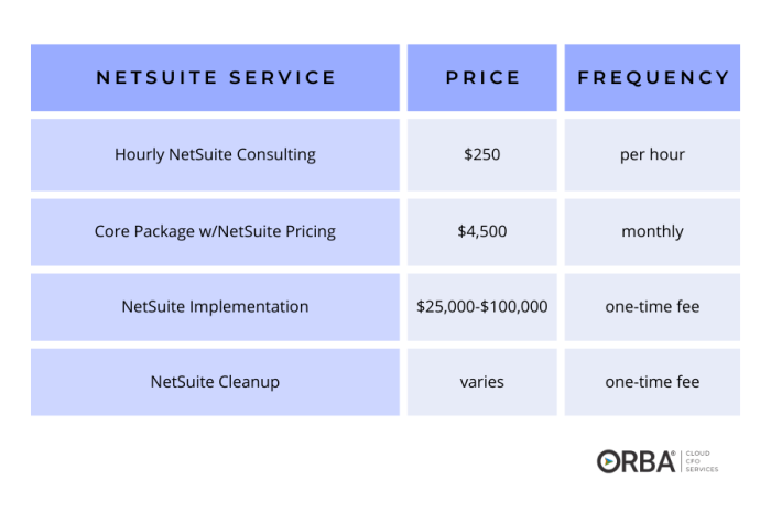 Price Optimisation Software | NetSuite
