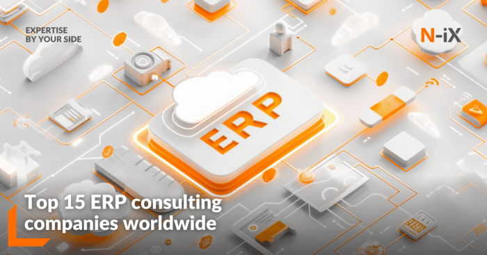 Best ERP consulting companies across the globe - N-iX