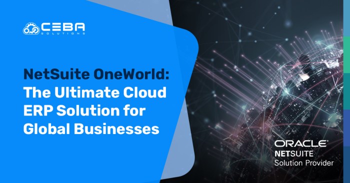NetSuite OneWorld ERP Review 2024 Pricing, Features, Shortcomings