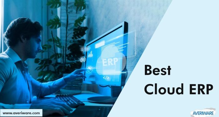 Why Small Businesses Use ERP Software to Manage Daily Operations