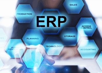 ERP Consultancy - Divine IT Limited