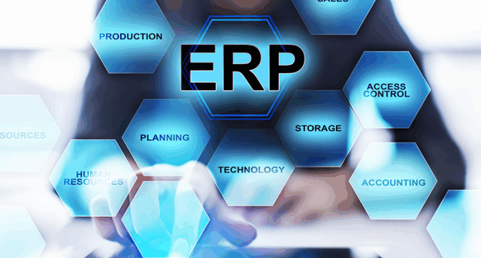 ERP Consultancy - Divine IT Limited