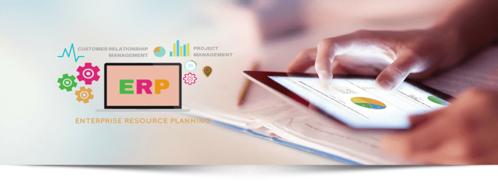 ERP Consulting | ERP Consultancy Services | ERP Consulting Services ...