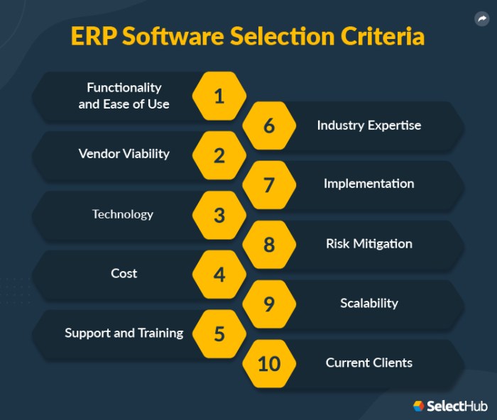 Top 10 Steps of the ERP Selection Process