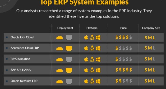 ERP System Examples 2024 | Examples Of ERP Software