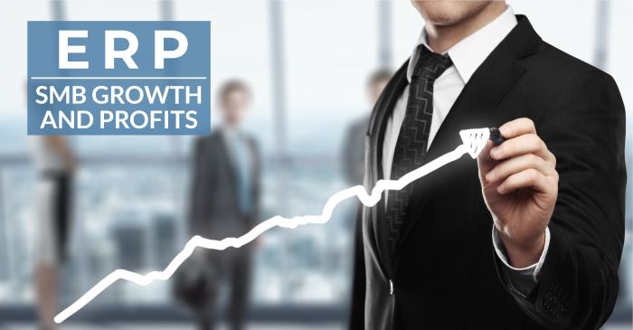 How ERP Drives Growth and Profits for SMBs | Datix