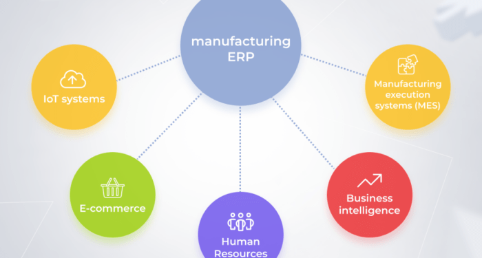SAP vs. IFS: Which ERP System is Best for Your Business?
