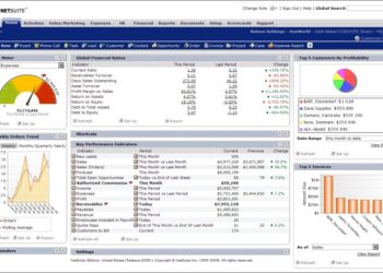 Erp System Netsuite at Dolores Parker blog