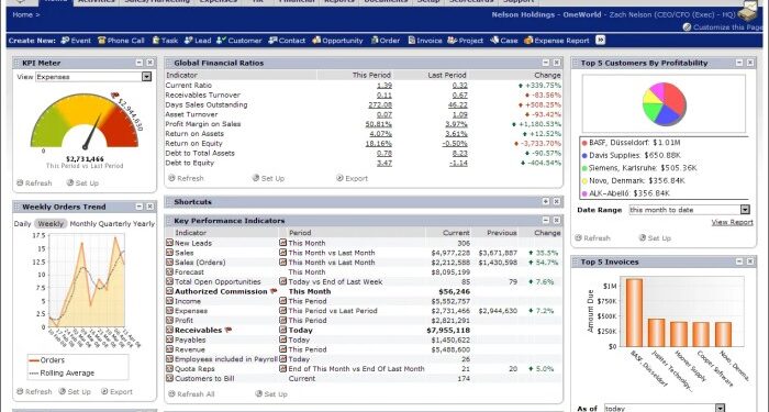 Erp System Netsuite at Dolores Parker blog